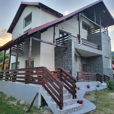 Pensiunea Ricky Căpăţîneni-Ungureni Exterior foto