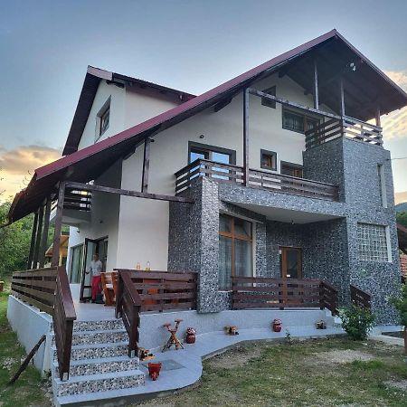 Pensiunea Ricky Căpăţîneni-Ungureni Exterior foto