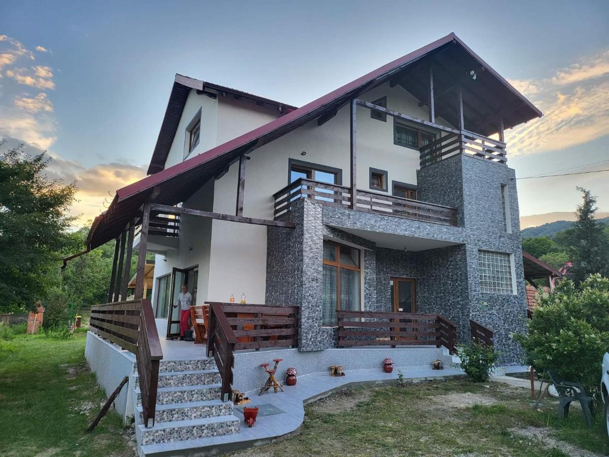 Pensiunea Ricky Căpăţîneni-Ungureni Exterior foto